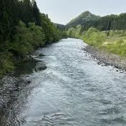 魚屋
