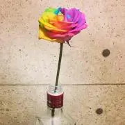 Kaの画像