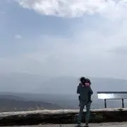 dicarp10の画像