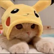 こまつなの画像