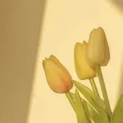 ぽてち