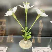 まさにしの画像