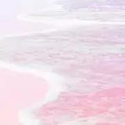 lilyの画像
