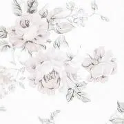 るちの画像