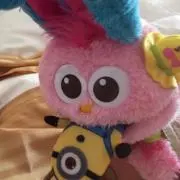 モッピー