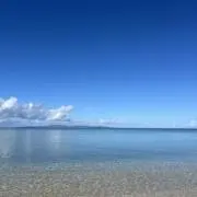 整理中manの画像