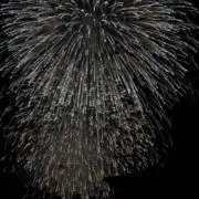 ミオシンの画像