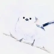 いちごとうふの画像