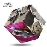 ホタテ
