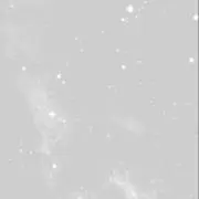 ❤︎