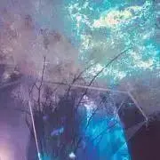 an ※プロフ必読の画像