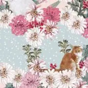 kumaneko✿の画像