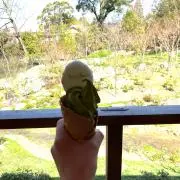ゆっこの画像