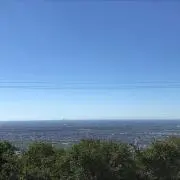 花の画像