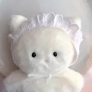 mimiの画像
