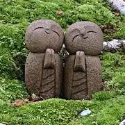 はねっこの画像