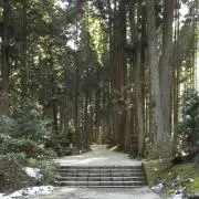 ∞ゆうの画像