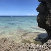 DORALの画像