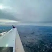 moの画像