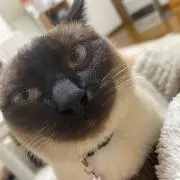 nanakoの画像