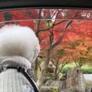諭吉くんの画像