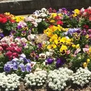 aimama★プロフィール必読