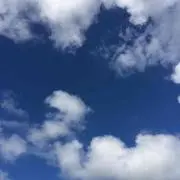 おかゆ