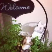 makiの画像