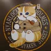猫の画像