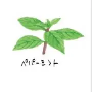 ミントの画像