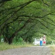 HALmamaの画像