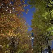 noopyの画像