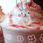 きゃんでぃ