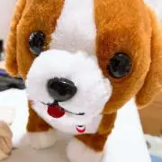 T.Hの画像