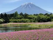 Dorisの画像