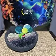 奏の画像