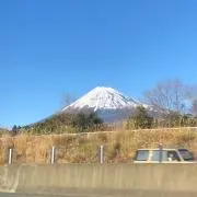 股関節のパニックの画像