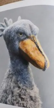 biroroの画像