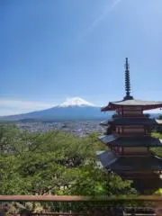 shuchins_03の画像