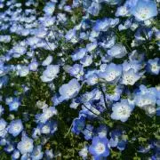 鈴rinの画像
