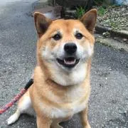 あーちゃんの画像