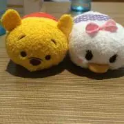 じーまの画像