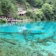 Noriの画像