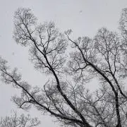まあ。の画像