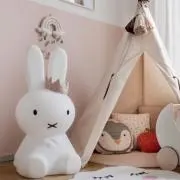 ちきばんにゃの画像