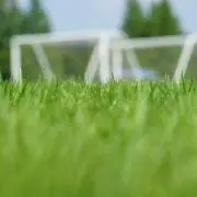 yota.の画像