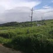 タイプ尺の画像
