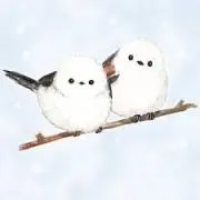 まっちゃの画像