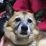 ららのすけ
