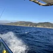 田舎の魚取り